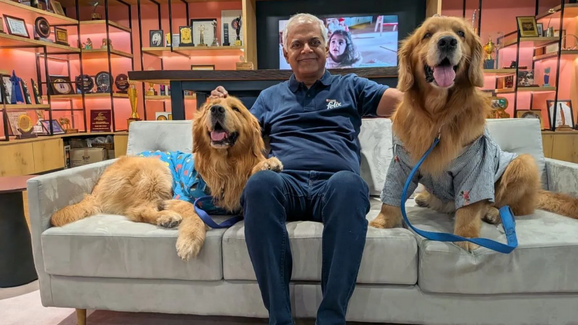 Será este o melhor sítio para trabalhar? Nestlé Índia nomeia dois Golden Retrievers como 