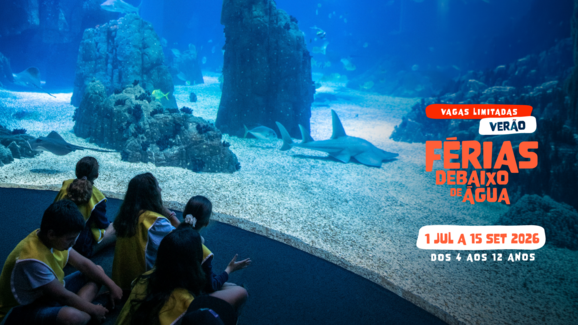 O Campo de Férias do Oceanário de Lisboa está de volta! E promete um verão cheio de descobertas, ciência e muita diversão
