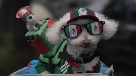 O pato Merlin já tem companhia. Conheça Osito, o cão que também se tornou uma mascote do México no Mundial