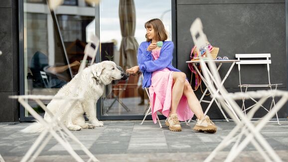 Estão abertas as candidaturas ao Pet Friendly Award! Saiba como pode submeter a sua