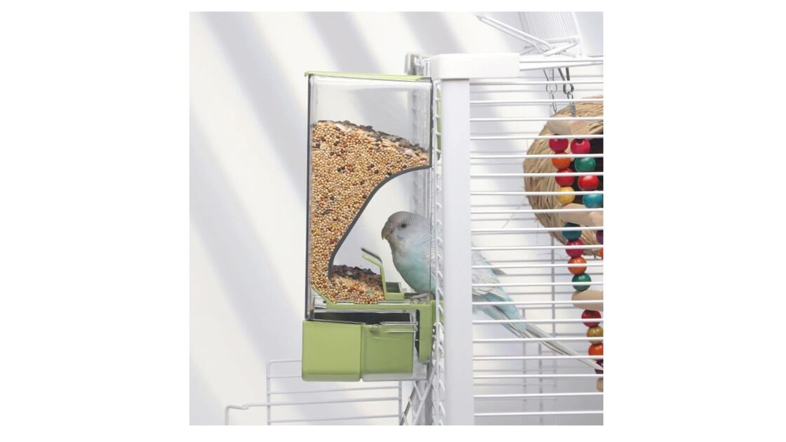 Aves em gaiola com alimentador automático de grãos