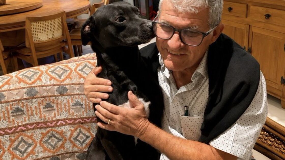 Jumo, um cão de rua, ganha uma família após conquistar expositor de móveis em Ibitinga