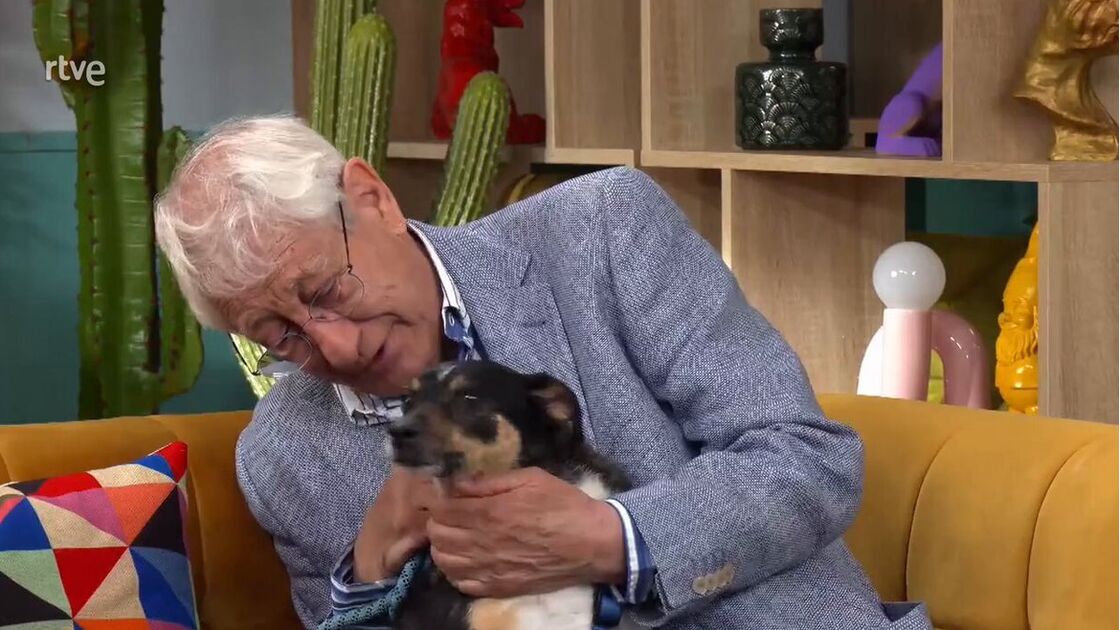 Em lágrimas, idoso é obrigado a entregar o companheiro de quatro patas para adoção. Conheça a história de César e Curro