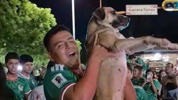 Às vezes a internet faz milagres. Cadela desaparecida reaparece nos festejos do Mundial