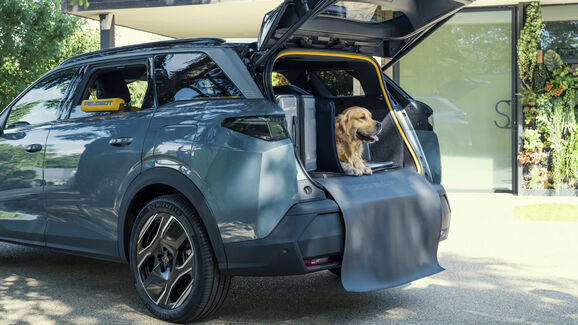 Como seria um carro pensado por um cão? A Peugeot tem a resposta