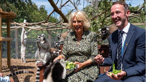 Rodeada de lémures, Rainha Camilla volta a mostrar o seu amor pelos animais
