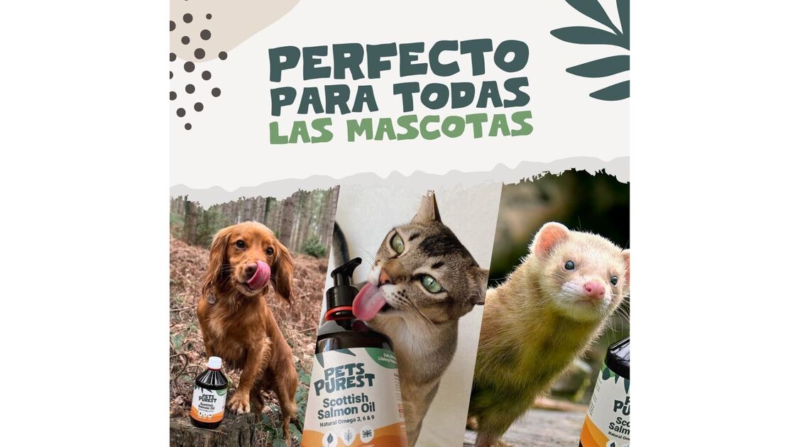 O óleo de salmão Pets Purest é perfeito para cães, gatos e furões