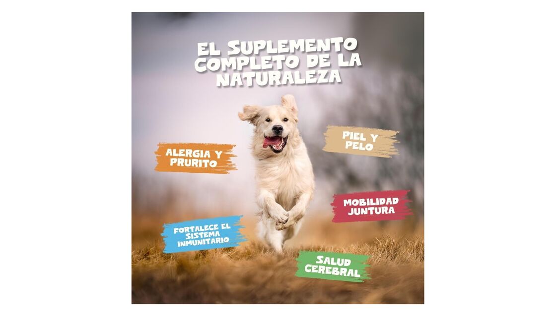 Suplemento completo para a pele, articulações e sistema imunitário do seu cão