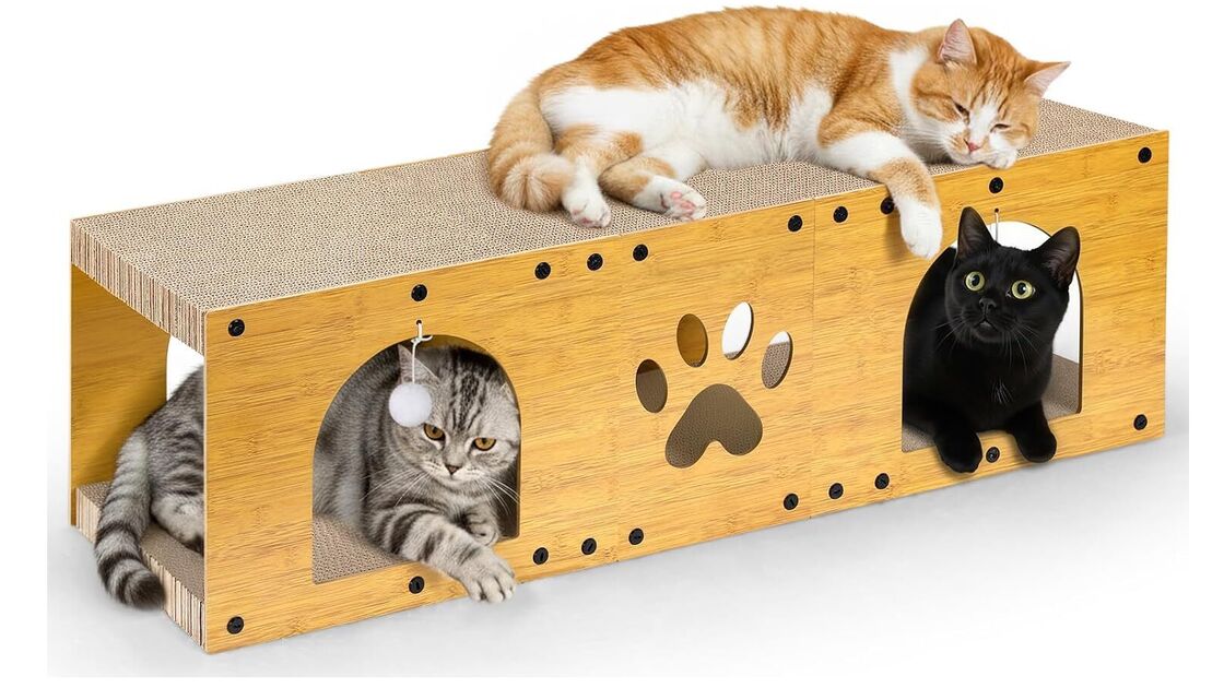 Gato laranja descansa em arranhador com gatos cinza e preto