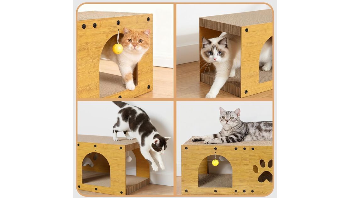 Gatos a arranhar em casas de arranhar para satisfazer instintos naturais