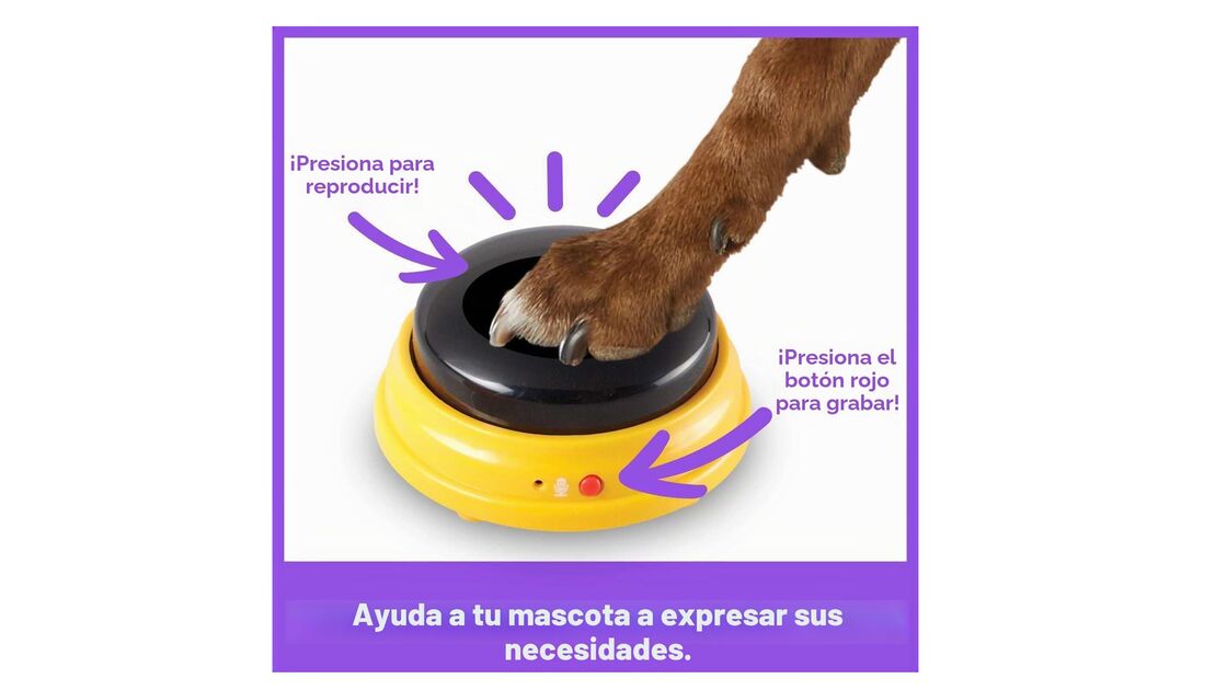 Ajude o seu cão a comunicar as suas necessidades