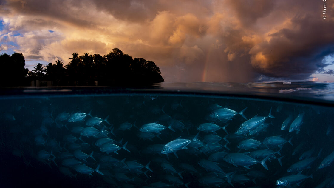 Calm Amid the Storm
