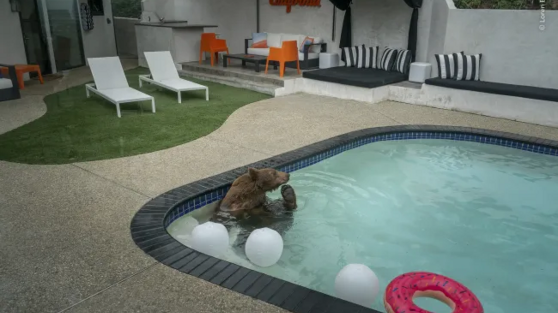 Pooltime Pastime