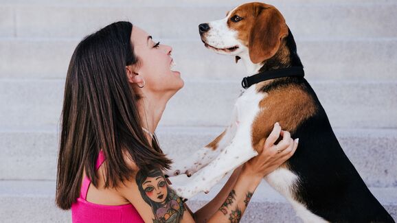 E se o seu cão pudesse pedir o que quer? Conheça os botões que estão a dar que falar