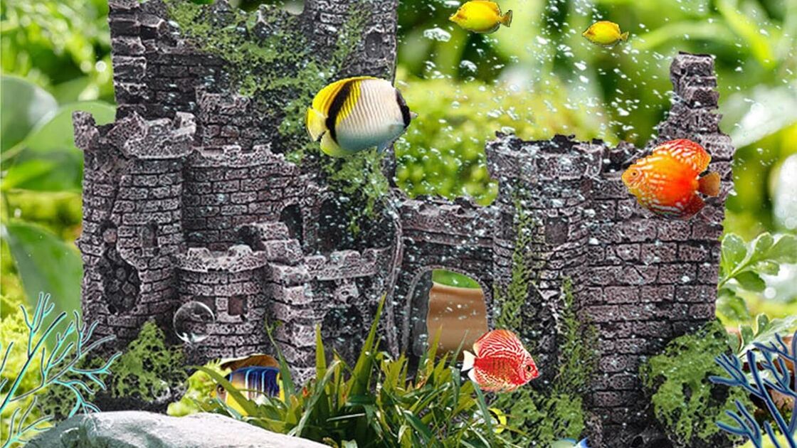 Peixes nadam num aquário com um castelo e plantas