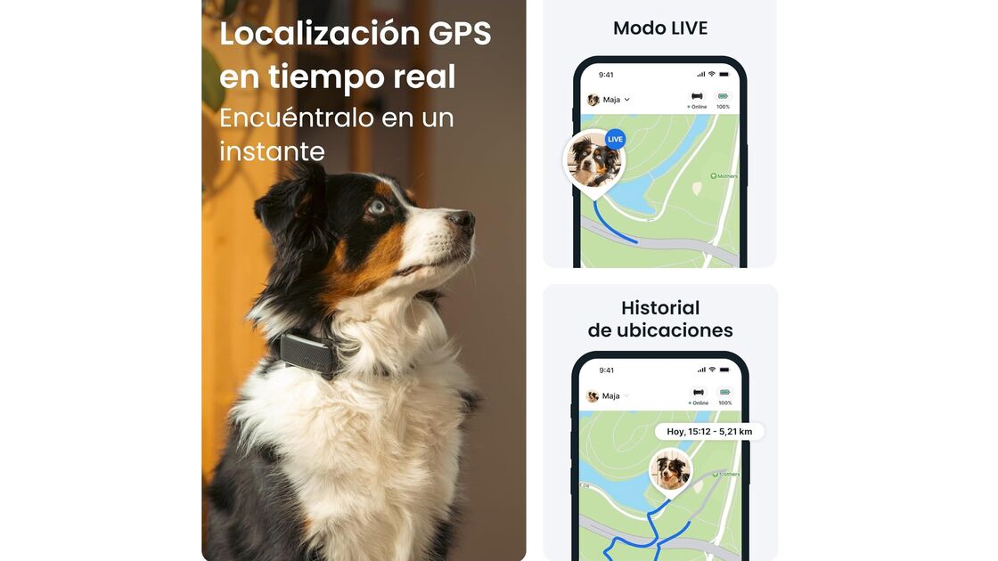 Localização GPS em tempo real para o seu animal de estimação