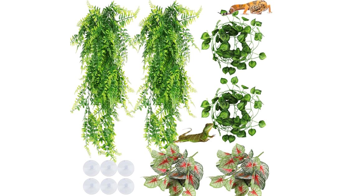 Plantas artificiais com lagartos e ventosas