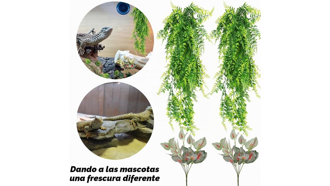 Dando às mascotes uma frescura diferente