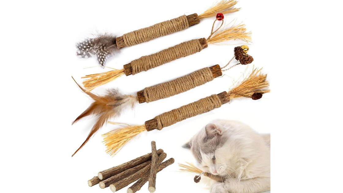 Brinquedos para gatos com penas, sisal e galhos de erva-gateira