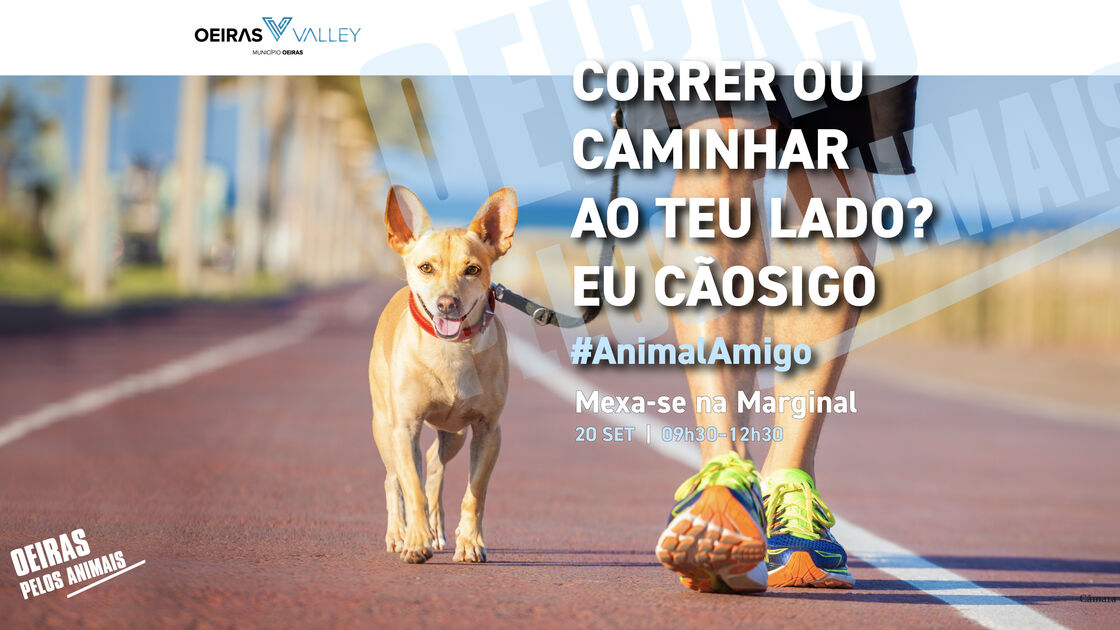 Está quase a chegar a 25ª edição do 