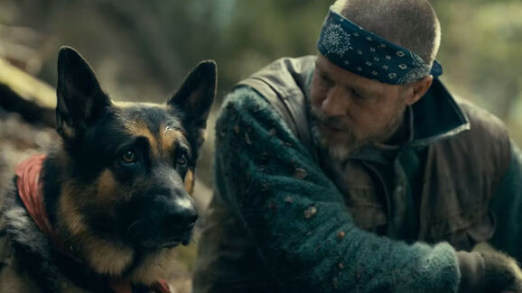 Este é o ano das estrelas caninas no cinema! Conheça o Uber, o cão que brilha ao lado de Brad Pitt em 