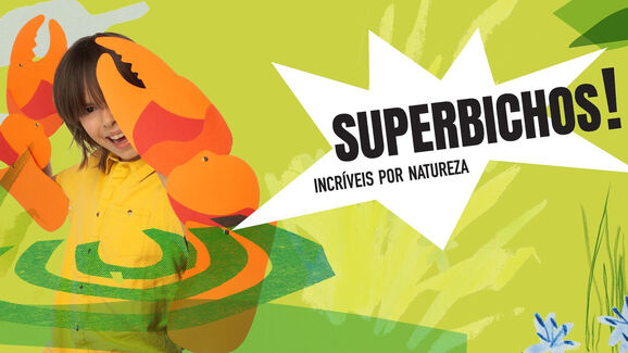 Já pode conhecer animais com verdadeiros 