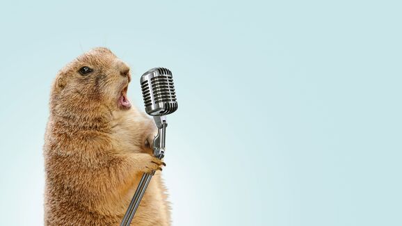 A I.A. pode ajudar-nos a falar com os animais, mas há um problema: a privacidade