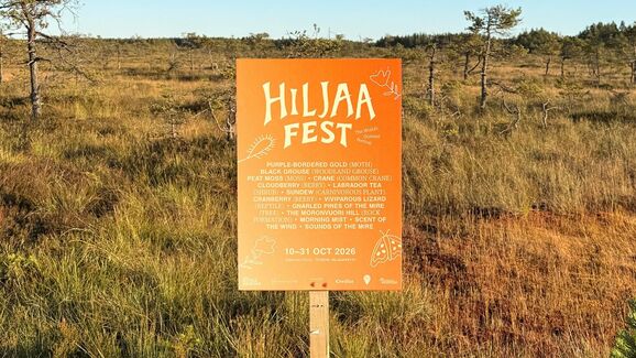 Esqueça o Coachella! Na Finlândia há o 