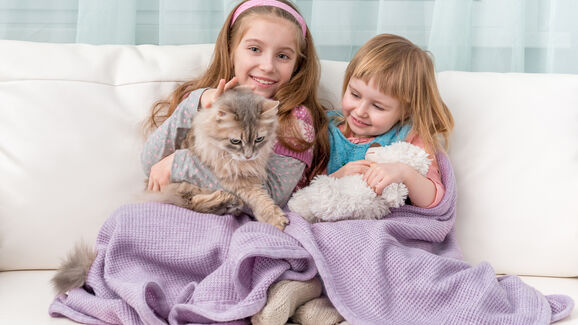 À procura de um novo membro da família? Conheça 5 raças de cães e gatos amigas das crianças